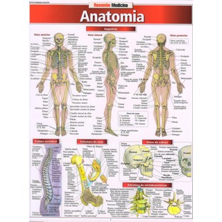 Livro - Resumão Anatomia