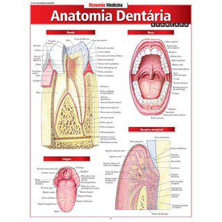 Livro - Resumão - Anatomia Dentária Avançada - Perez