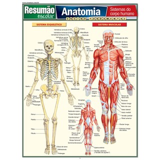 Livro Resumão Anatomia - Perez