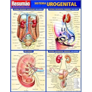 Livro - Resumão Sistema Urogenital - França