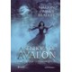 Livro - Senhora de Avalon, A: Terceiro Livro do Ciclo de Avalon - Bradley