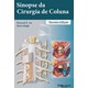 Livro Sinopse da Cirurgia de Coluna - An/singh- Dilivros
