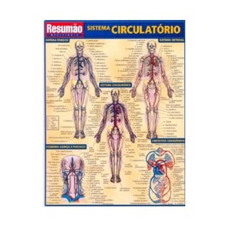 Livro - Sistema Circulatorio Resumao - Barros