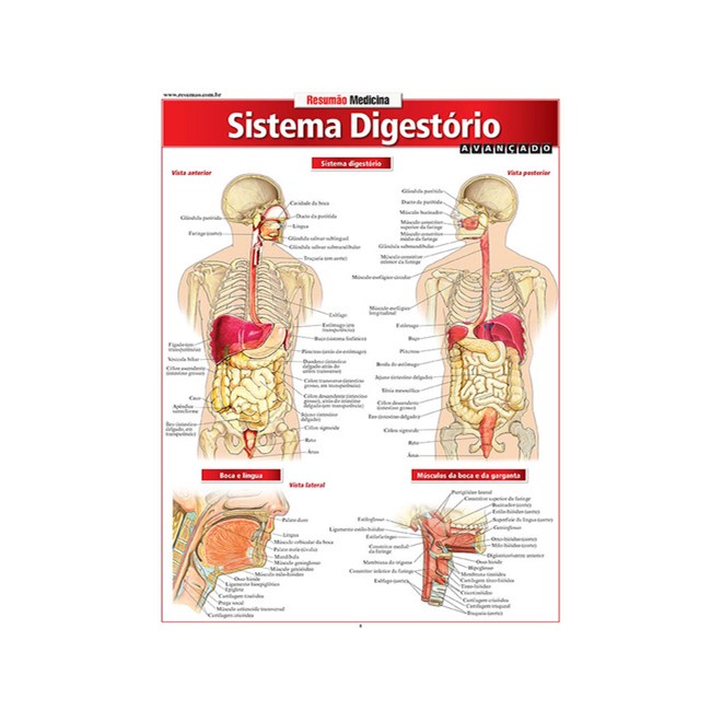 Livro - Sistema Digestorio Avancado - Perez