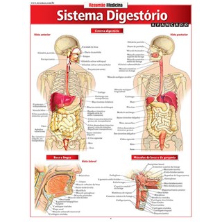 Livro - Sistema Digestorio Avancado - Perez
