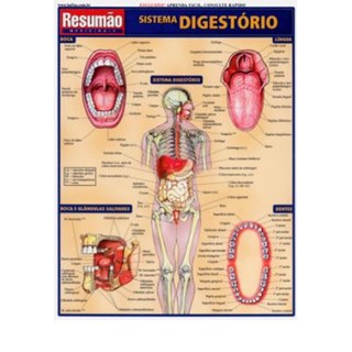 Livro - Sistema Digestorio Resumao - Barros