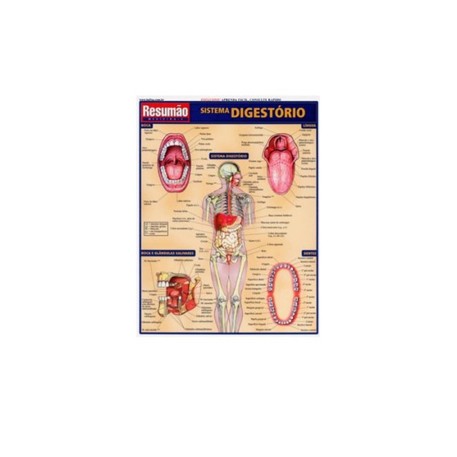 Livro - Sistema Digestorio Resumao - Barros
