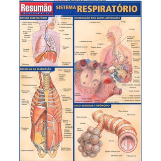 Livro - Sistema Respiratorio Resumao - Barros