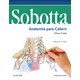 Livro - Sobotta - Anatomia Para Colorir - Kretz