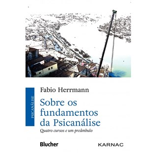 Livro - Sobre os Fundamentos da Psicanalise - Quatro Cursos e Um Preambulo - Herrmann