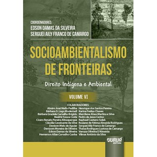Livro - Socioambientalismo de Fronteiras - Vol. Vi - Direito Indigena e Ambiental - Silveira/camargo (co