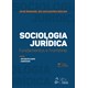 Livro - Sociologia Juridica: Fundamentos e Fronteiras - Rocha