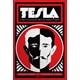 Livro - Tesla: a Vida e a Loucura do Genio Que Iluminou o Mundo - Perko/stahl