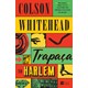 Livro - Trapaca No Harlem - Whitehead