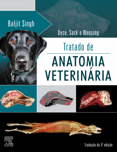 Anatomia Veterinaria Dyce Pdf - Veterinaria Online