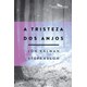 Livro - Tristeza dos Anjos, A - Stefansson