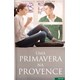 Livro Uma Primavera na Provence - Merger - Sarvier
